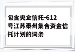 包含央企信托-612号江苏泰州集合资金信托计划的词条