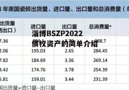 淄博BSZP2022债权资产的简单介绍