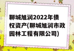 聊城旭润2022年债权资产(聊城旭润市政园林工程有限公司)