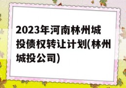 2023年河南林州城投债权转让计划(林州城投公司)