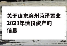 关于山东滨州菏泽置业2023年债权资产的信息