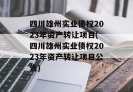 四川雄州实业债权2023年资产转让项目(四川雄州实业债权2023年资产转让项目公告)