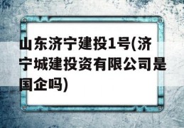 山东济宁建投1号(济宁城建投资有限公司是国企吗)