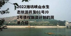 2022潍坊峡山水生态旅游开发01号/02号债权融资计划的简单介绍