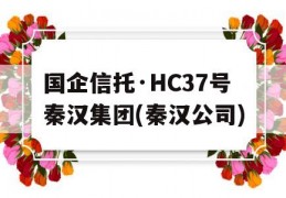 国企信托·HC37号秦汉集团(秦汉公司)