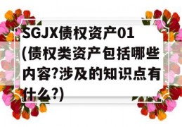 SGJX债权资产01(债权类资产包括哪些内容?涉及的知识点有什么?)