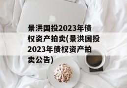 景洪国投2023年债权资产拍卖(景洪国投2023年债权资产拍卖公告)