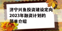 济宁兴鱼投资建设定向2023年融资计划的简单介绍