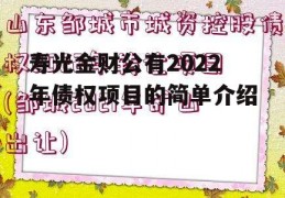 寿光金财公有2022年债权项目的简单介绍