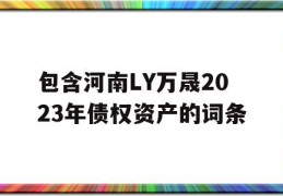 包含河南LY万晟2023年债权资产的词条