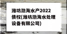 潍坊渤海水产2022债权(潍坊渤海水处理设备有限公司)