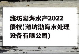 潍坊渤海水产2022债权(潍坊渤海水处理设备有限公司)