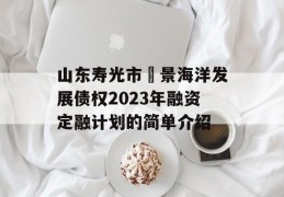 山东寿光市昇景海洋发展债权2023年融资定融计划的简单介绍