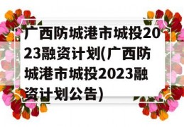 广西防城港市城投2023融资计划(广西防城港市城投2023融资计划公告)