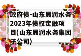 政府债-山东晟润水务2023年债权定融项目(山东晟润水务集团子公司)