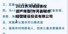 2022齐河城投债权资产项目(齐河县城市经营建设投资有限公司)