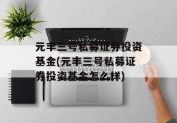 元丰三号私募证券投资基金(元丰三号私募证券投资基金怎么样)