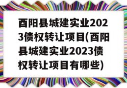 酉阳县城建实业2023债权转让项目(酉阳县城建实业2023债权转让项目有哪些)