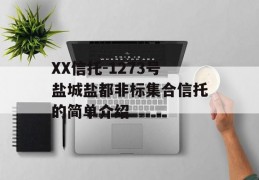 XX信托-1273号盐城盐都非标集合信托的简单介绍