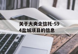 关于大央企信托-594盐城项目的信息