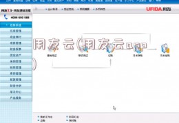 用友云(用友云app)