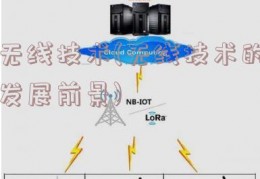 无线技术(无线技术的发展前景)