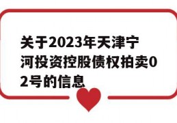 关于2023年天津宁河投资控股债权拍卖02号的信息