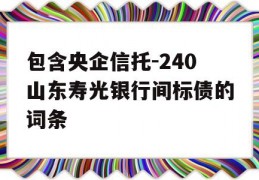 包含央企信托-240山东寿光银行间标债的词条