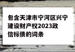 包含天津市宁河区兴宁建设财产权2023政信标债的词条