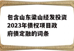 包含山东梁山经发投资2023年债权项目政府债定融的词条