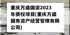 重庆万盛国资2023年债权项目(重庆万盛国有资产经营管理有限公司)