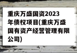 重庆万盛国资2023年债权项目(重庆万盛国有资产经营管理有限公司)