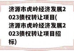 济源市虎岭经济发展2023债权转让项目(济源市虎岭经济发展2023债权转让项目招标)