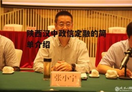 陕西汉中政信定融的简单介绍