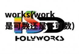 works(work是可数还是不可数)