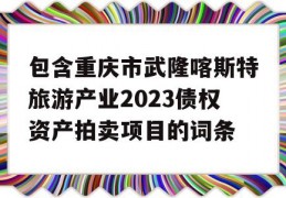 包含重庆市武隆喀斯特旅游产业2023债权资产拍卖项目的词条