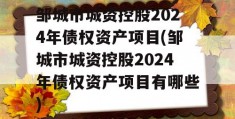 邹城市城资控股2024年债权资产项目(邹城市城资控股2024年债权资产项目有哪些)