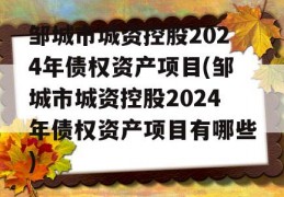 邹城市城资控股2024年债权资产项目(邹城市城资控股2024年债权资产项目有哪些)