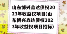 山东博兴鑫达债权2023年收益权项目(山东博兴鑫达债权2023年收益权项目招标)