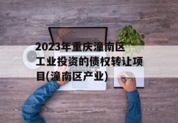 2023年重庆潼南区工业投资的债权转让项目(潼南区产业)