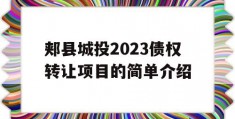 郏县城投2023债权转让项目的简单介绍