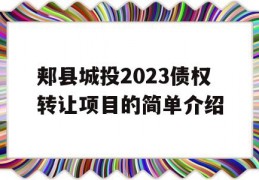 郏县城投2023债权转让项目的简单介绍