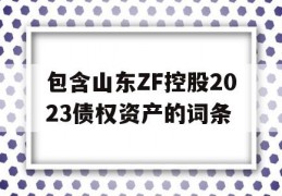 包含山东ZF控股2023债权资产的词条