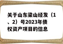 关于山东梁山经发（1、2）号2023年债权资产项目的信息