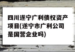 四川遂宁广利债权资产项目(遂宁市广利公司是国营企业吗)