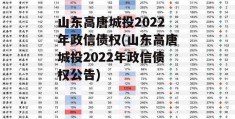 山东高唐城投2022年政信债权(山东高唐城投2022年政信债权公告)