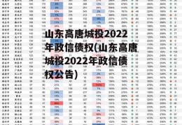 山东高唐城投2022年政信债权(山东高唐城投2022年政信债权公告)