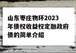 山东枣庄物环2023年债权收益权定融政府债的简单介绍