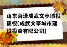 山东菏泽成武文亭城投债权(成武文亭城市建设投资有限公司)