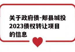 关于政府债-郏县城投2023债权转让项目的信息